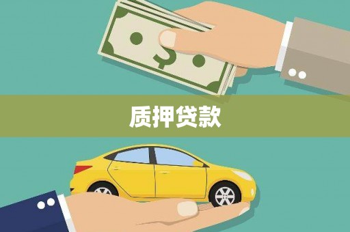 德宏质押贷款