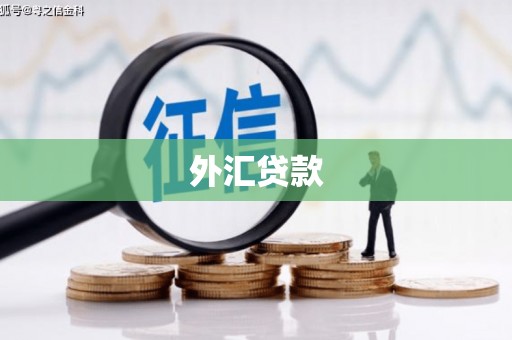 德宏外汇贷款