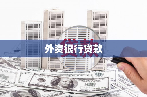 德宏外资银行贷款