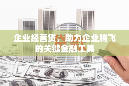 德宏企业经营贷，助力企业腾飞的关键金融工具