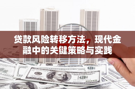 德宏贷款风险转移方法，现代金融中的关键策略与实践