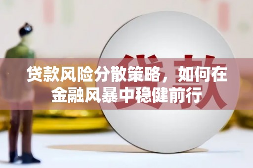 德宏贷款风险分散策略，如何在金融风暴中稳健前行