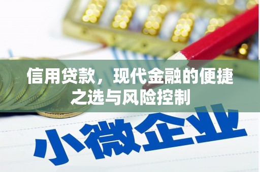 德宏信用贷款，现代金融的便捷之选与风险控制