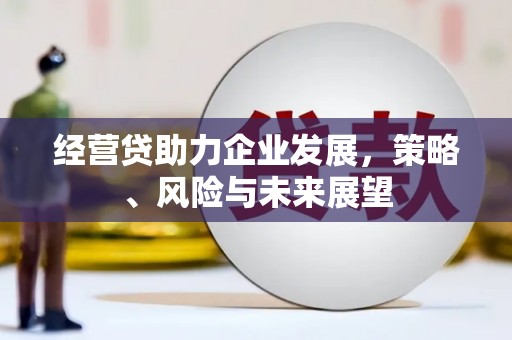 德宏经营贷助力企业发展，策略、风险与未来展望