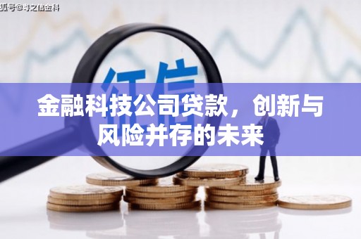 德宏金融科技公司贷款，创新与风险并存的未来