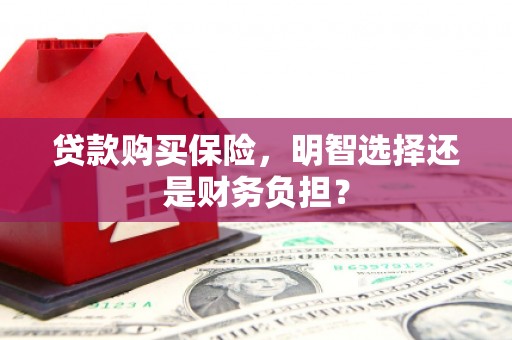 德宏贷款购买保险，明智选择还是财务负担？