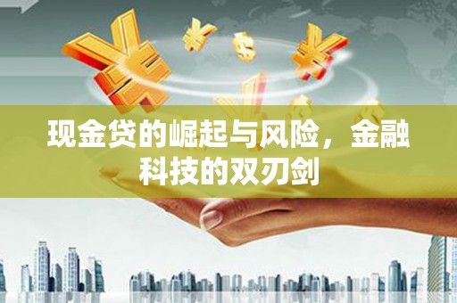 德宏现金贷的崛起与风险，金融科技的双刃剑