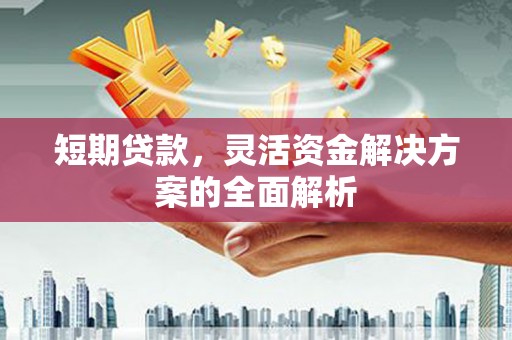 德宏短期贷款，灵活资金解决方案的全面解析