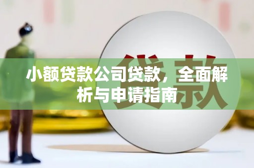 德宏小额贷款公司贷款，全面解析与申请指南