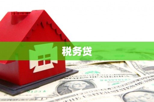 德宏税务贷