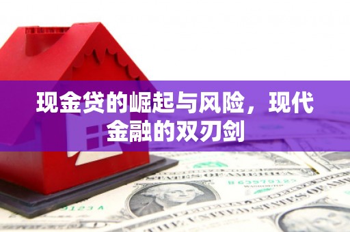 德宏现金贷的崛起与风险，现代金融的双刃剑
