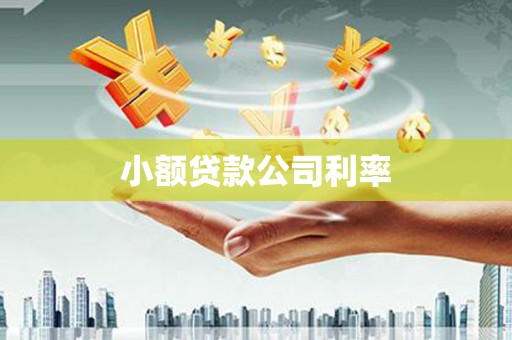德宏小额贷款公司利率