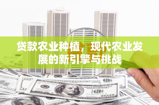 德宏贷款农业种植，现代农业发展的新引擎与挑战
