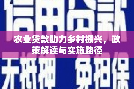 德宏农业贷款助力乡村振兴，政策解读与实施路径