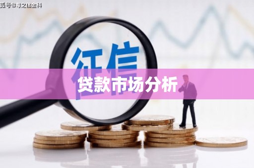 德宏贷款市场分析