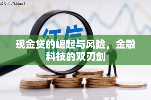 德宏现金贷的崛起与风险，金融科技的双刃剑
