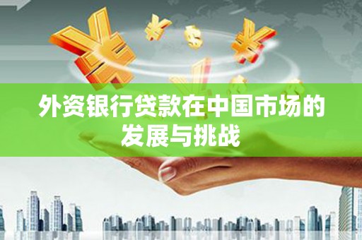 德宏外资银行贷款在中国市场的发展与挑战