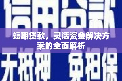 德宏短期贷款，灵活资金解决方案的全面解析
