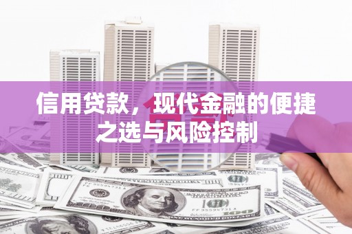 德宏信用贷款，现代金融的便捷之选与风险控制