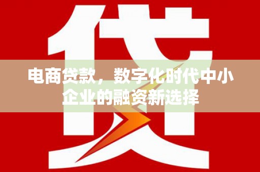 德宏电商贷款，数字化时代中小企业的融资新选择