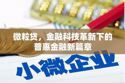 德宏微粒贷，金融科技革新下的普惠金融新篇章