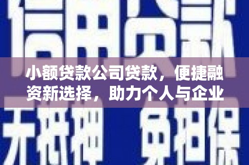 德宏小额贷款公司贷款，便捷融资新选择，助力个人与企业成长