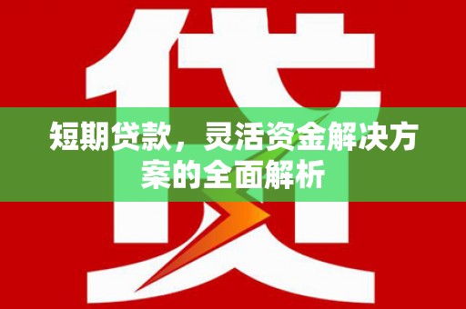 德宏短期贷款，灵活资金解决方案的全面解析