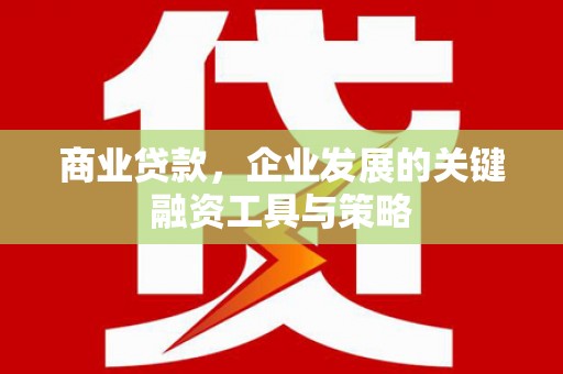 德宏商业贷款，企业发展的关键融资工具与策略