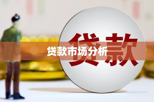 德宏贷款市场分析