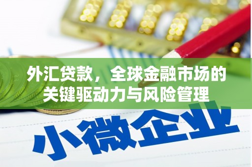 德宏外汇贷款，全球金融市场的关键驱动力与风险管理