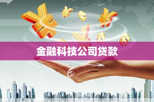 德宏金融科技公司贷款