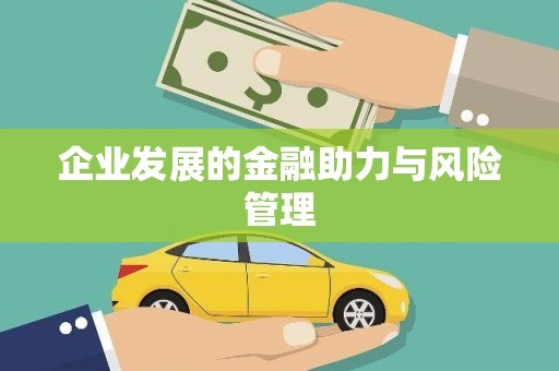 德宏企业发展的金融助力与风险管理
