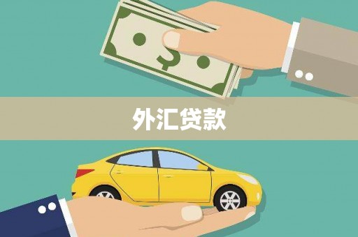 德宏外汇贷款