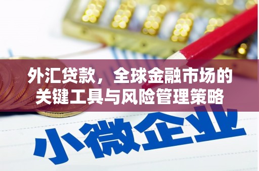 德宏外汇贷款，全球金融市场的关键工具与风险管理策略