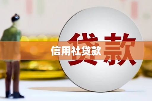 德宏信用社贷款