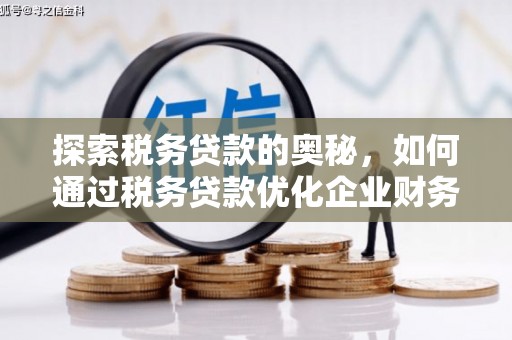 德宏探索税务贷款的奥秘，如何通过税务贷款优化企业财务