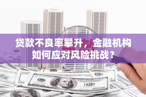 德宏贷款不良率攀升，金融机构如何应对风险挑战？