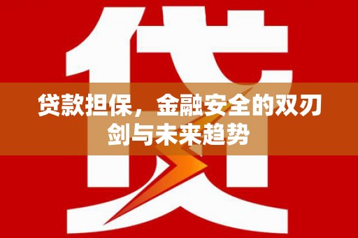 德宏贷款担保，金融安全的双刃剑与未来趋势