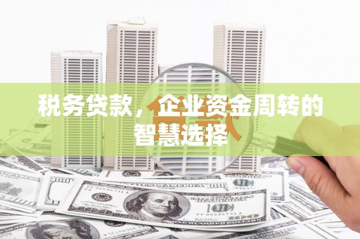 德宏税务贷款，企业资金周转的智慧选择