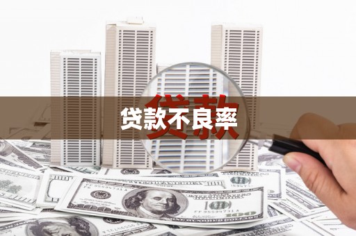 德宏贷款不良率