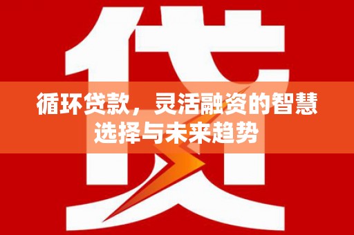 德宏循环贷款，灵活融资的智慧选择与未来趋势