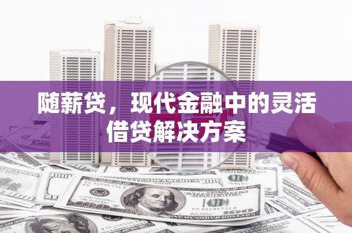 德宏随薪贷，现代金融中的灵活借贷解决方案