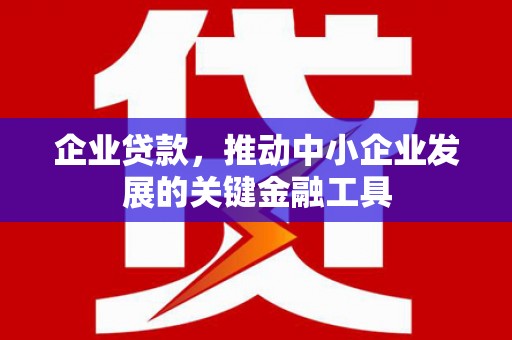 德宏企业贷款，推动中小企业发展的关键金融工具