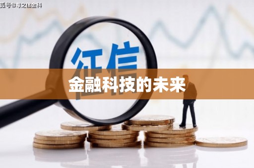 德宏金融科技的未来