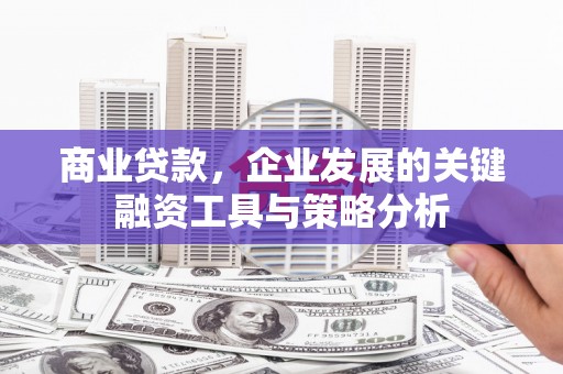 德宏商业贷款，企业发展的关键融资工具与策略分析