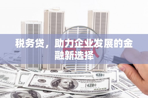 德宏税务贷，助力企业发展的金融新选择