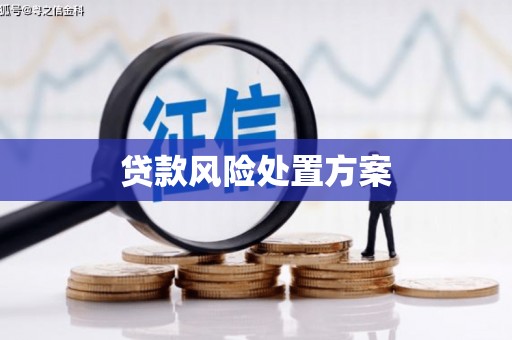 德宏贷款风险处置方案