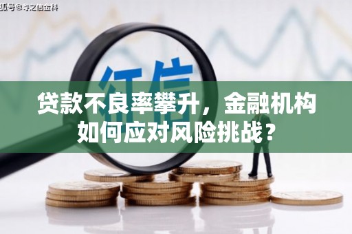德宏贷款不良率攀升，金融机构如何应对风险挑战？