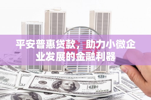 德宏平安普惠贷款，助力小微企业发展的金融利器