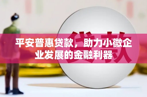 德宏平安普惠贷款，助力小微企业发展的金融利器